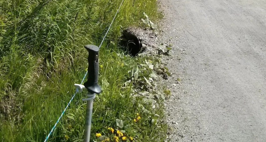 A small hole is visible next to a gravel road with a green fence post and wire nearby, resembling the trail marks left by what are ski sticks called. Yellow flowers and green vegetation surround the area.