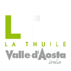 Green and gray abstract shape on a white background.