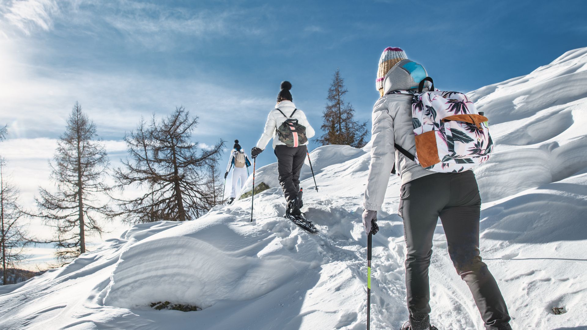 Ski Trips for Schools