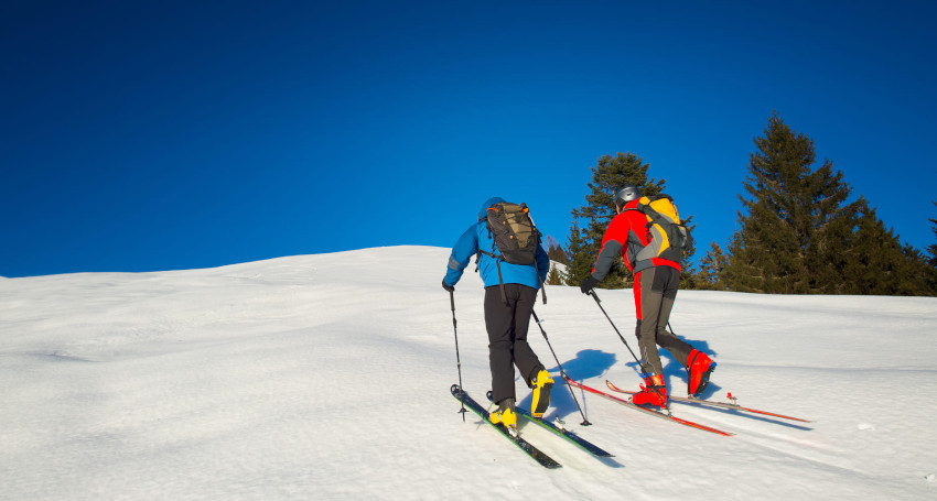 Two skiers with backpacks ascend a snowy hill under a clear blue sky, surrounded by evergreen trees.
