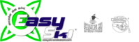 Logo with the text "Easy Ski" encircled by a green abstract design. Icons of a skier on a slope and ski goggles are displayed to the right.